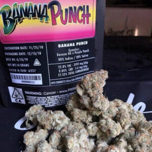 Buy Jungle boys Florida Order Banana Punch Buy Weed In New Jersey Order THC Weed In New Jersey Buy Medical marijuana Online Weed delivery