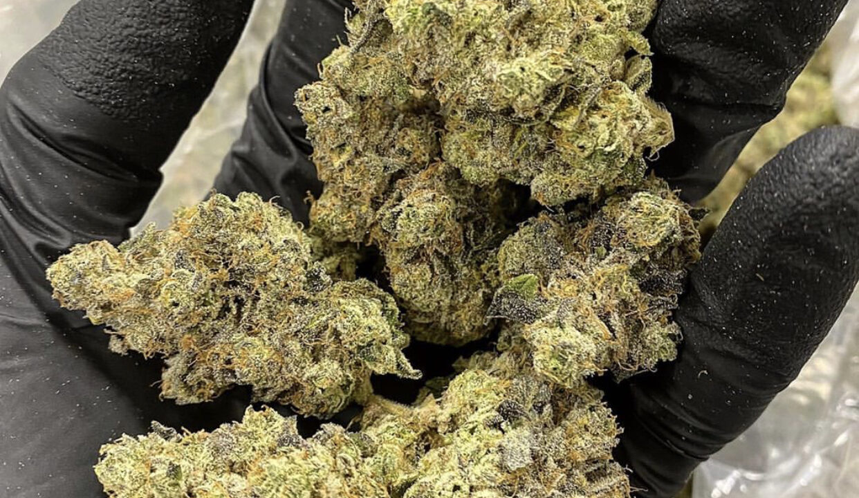 Cannabis and Mental Health: Postpartum Depression