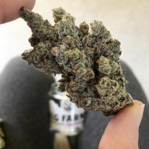 Holy Moly Pot Strain, Holy Moly OG Strain, Buy OG cookies strain, Buy Animal Crackers Strain, Lucky Leaf weed pics, Buy Weed Online Paramus
