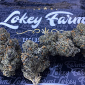 Dark Karma Strain, Order Weed Online Pasco, Kirkland, Tri-Cities, Walla Walla, Bremerton, Lynnwood, Lacey, Marysville, Washington, Tacoma