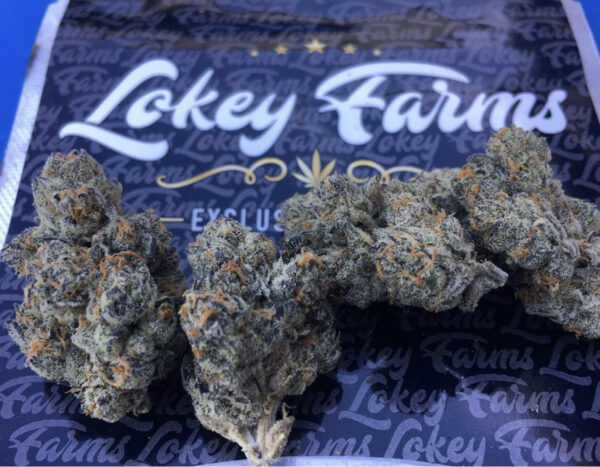 Dark Karma Strain, Order Weed Online Pasco, Kirkland, Tri-Cities, Walla Walla, Bremerton, Lynnwood, Lacey, Marysville, Washington, Tacoma