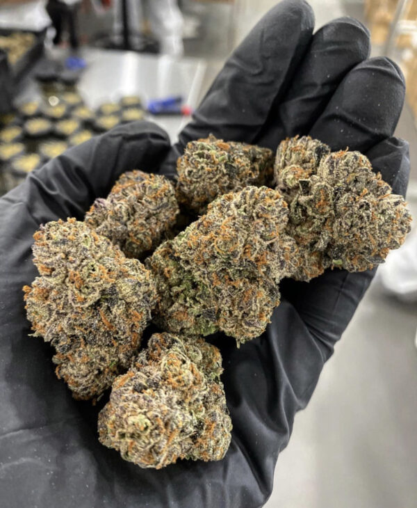 Buy THC Weed online Iowa Weed delivery in Des Moines Order Vape Pens Iowa City, Cedar Rapids, Ames, Davenport, Dubuque, Sioux City, Waterloo